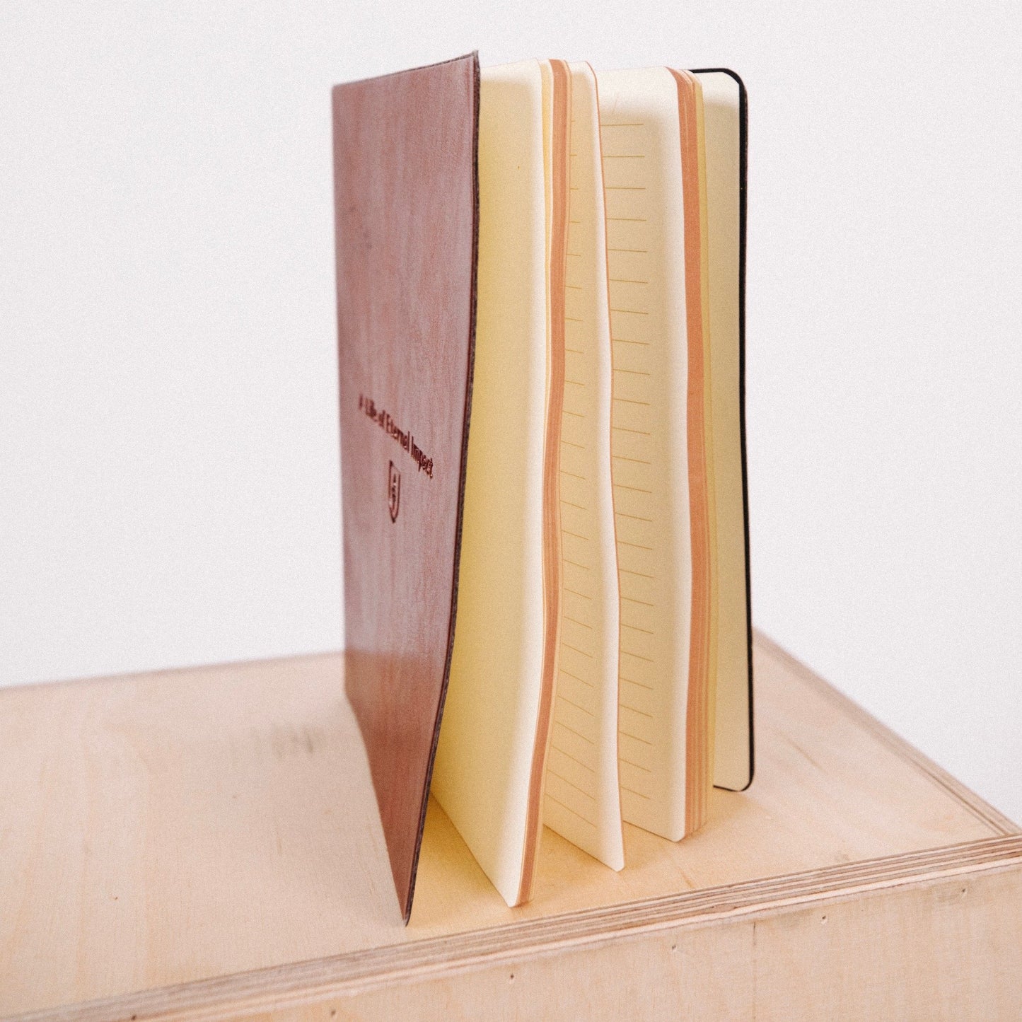 Leather Journal in Camel
